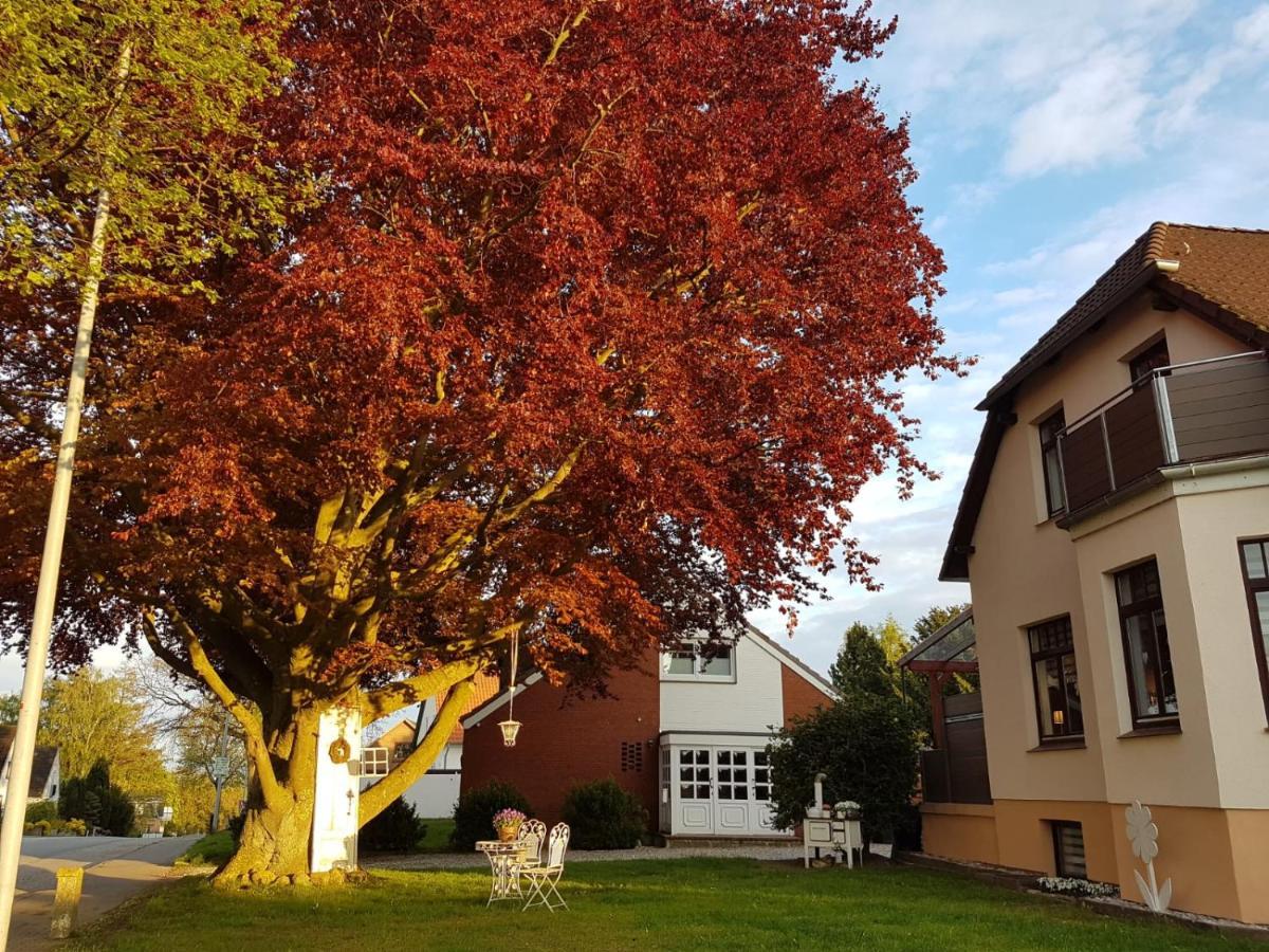 Ostsee Ferienwohnung Pelzerhaken Neustadt in Holstein Esterno foto